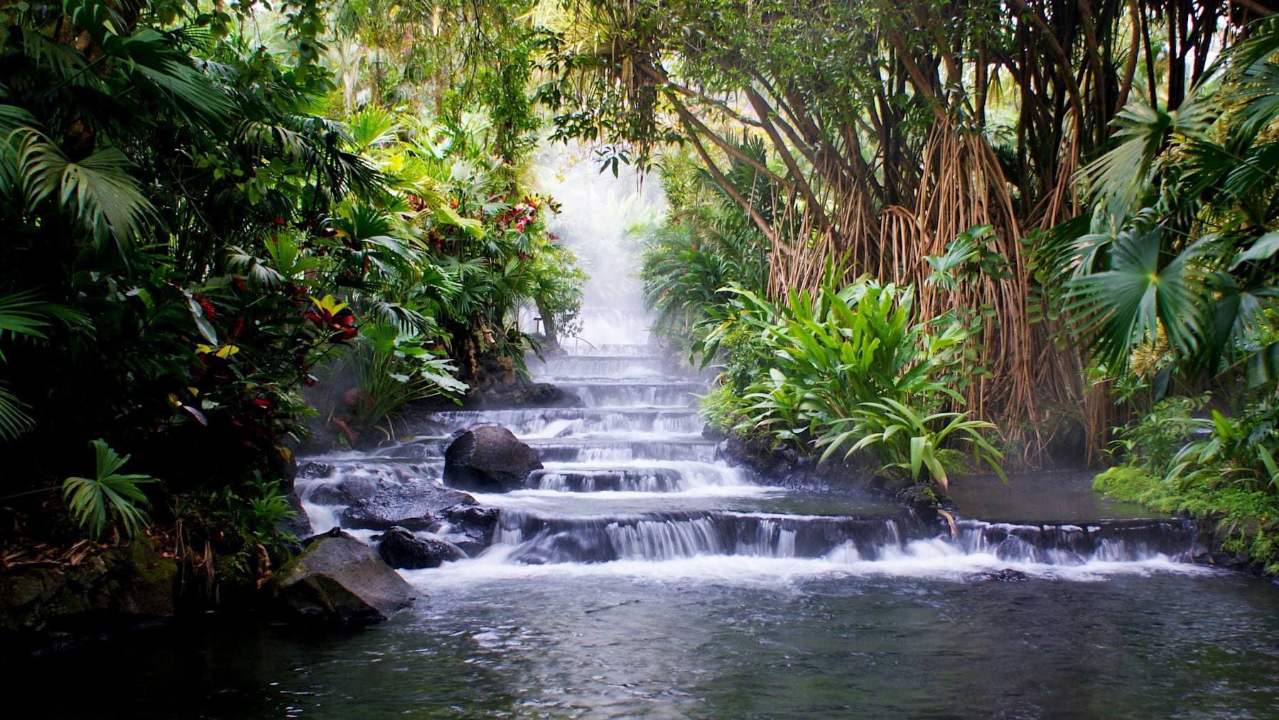 Cascade et végétation tropicale luxuriante près de Liberia, Costa Rica.
